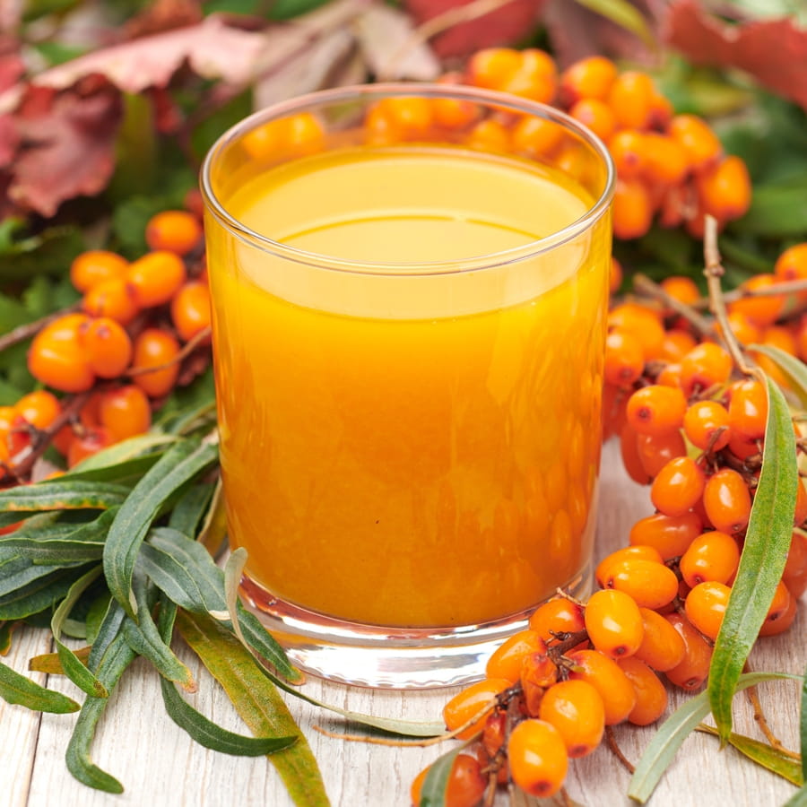 Морс облепиховый